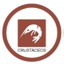 Crustáceos