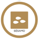 Sésamo